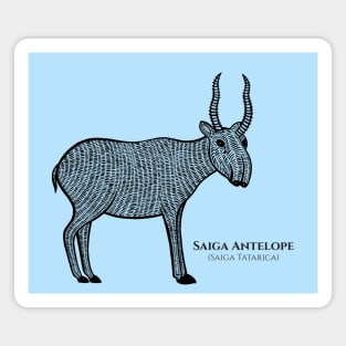 Saiga Antelope with Common and Scientific Name - animal design Magnet